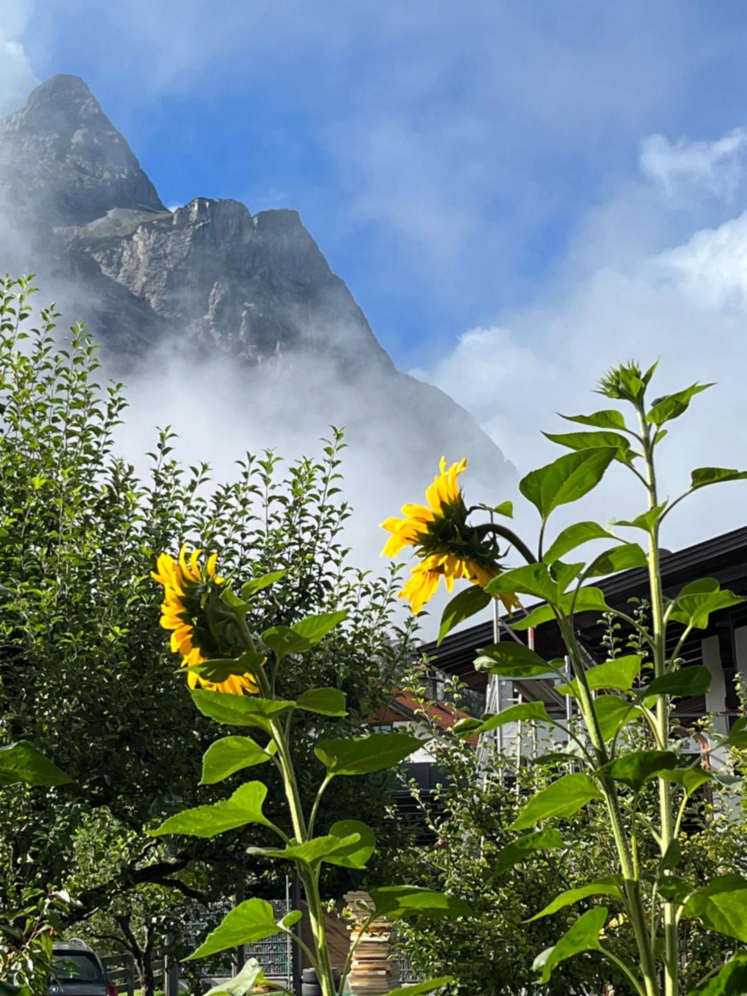 Apartment Haus Alpenblume