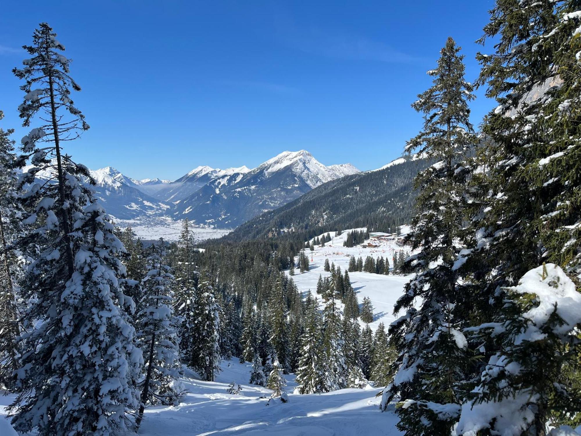 Haus Alpenblume