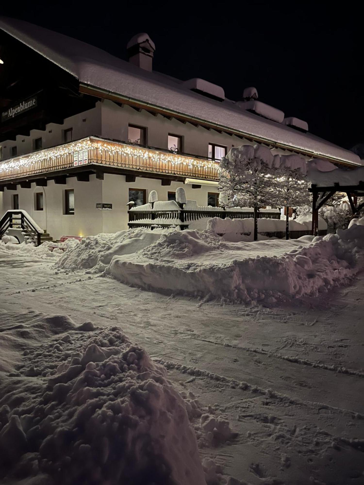 Haus Alpenblume * Ehrwald