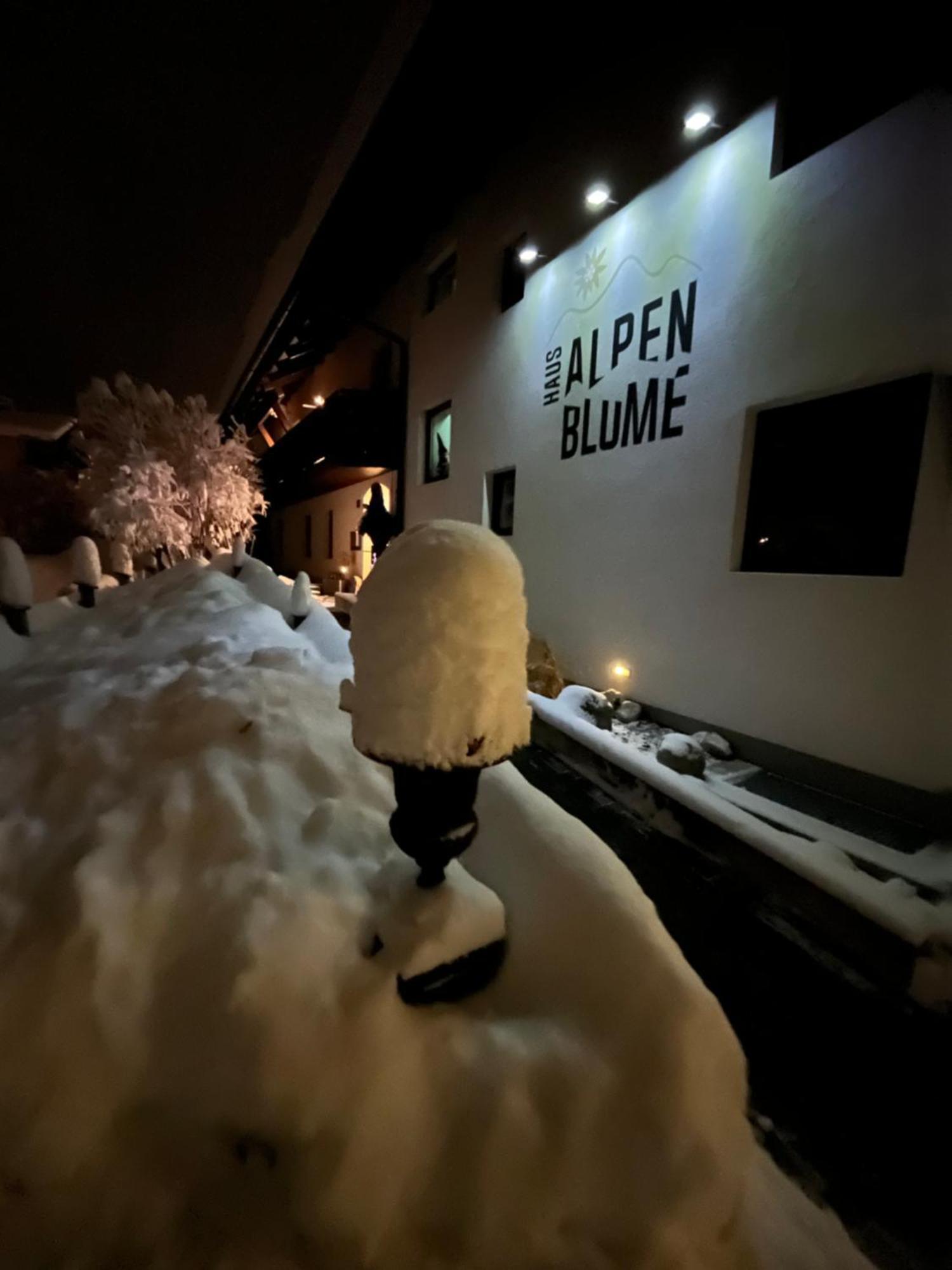 Haus Alpenblume Apartment